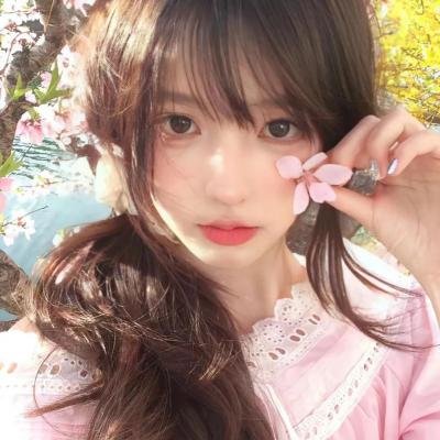 鹿枫堂四色日和2022