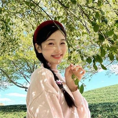 森林泰山2